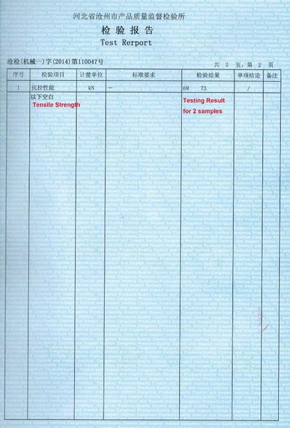 चीन Cangzhou Weisitai Scaffolding Co., Ltd. प्रमाणपत्र